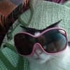 Hande Tasci avatar