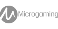 Mefasa logo